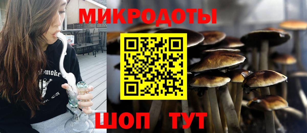 Псилоцибиновые грибы MAGIC MUSHROOMS Вязьма